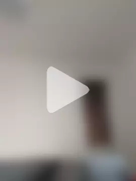 Viola_sweet_honey photo 10