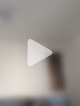 Viola_sweet_honey photo 3