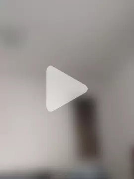 Viola_sweet_honey photo 29