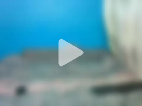 VirginPrincess06 photo 1