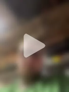 WIDBIGWHITECOCK photo 11