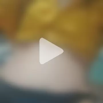 WandinhaSafadinha photo 6