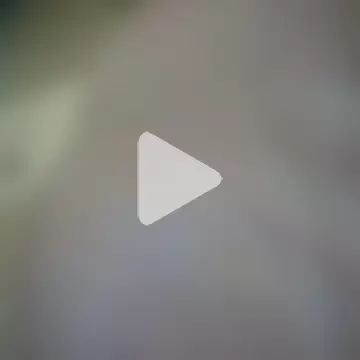 WandinhaSafadinha photo 5