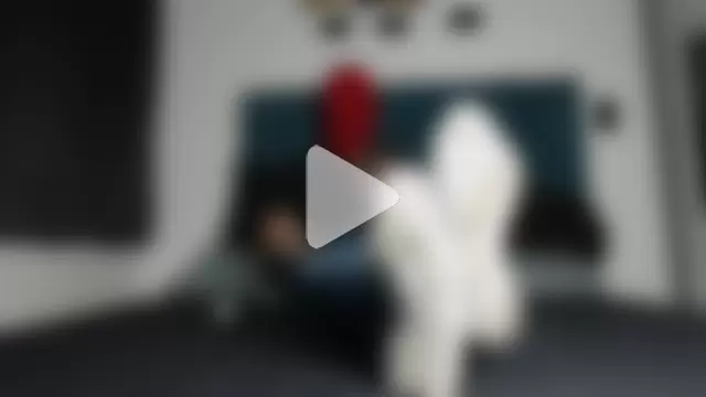 Warmteam777 photo 28