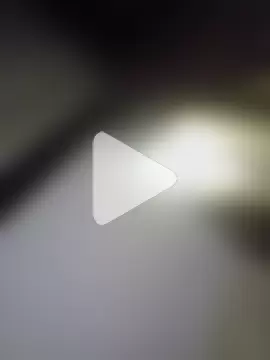 WhimsicalBirdette photo 3