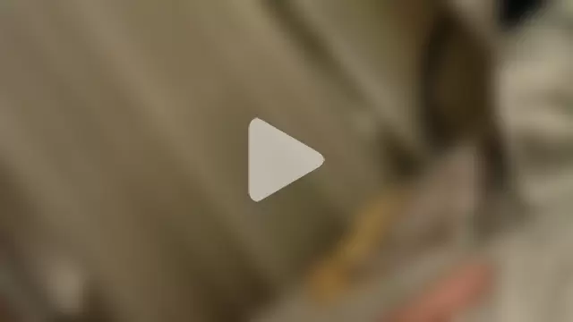 WhoisDanniela photo 8