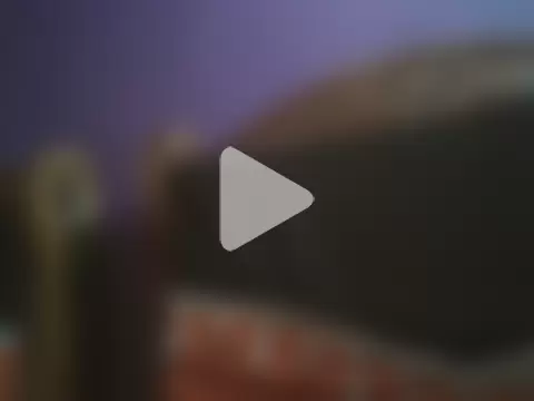 Whoistheboss123 photo 2