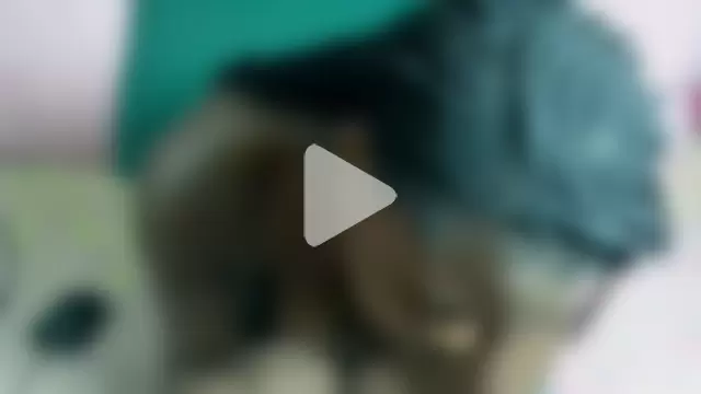 Wild_RoseXX photo 14