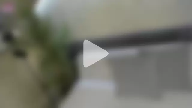 Will_Hendrix photo 25