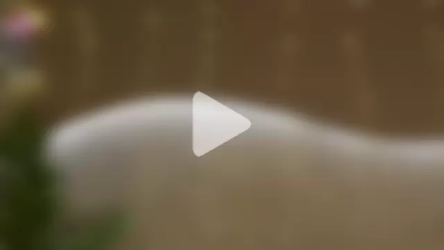 Will_Hendrix photo 13