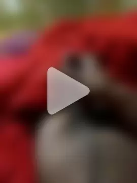 WrongAngle30 photo 5