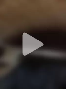 WrongedParvo photo 6