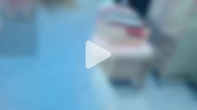 XIAOLAM-2025 photo 2