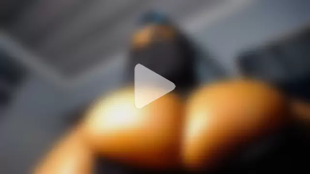 XPanther_24 photo 12