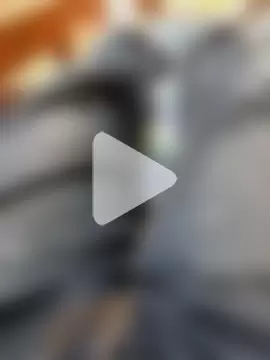 XXL_22cm_Young photo 5