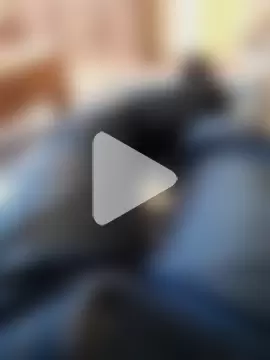 XXL_22cm_Young photo 1