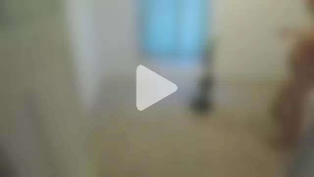 Yankeedave420 photo 18