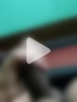 Yashkumar_0697 photo 26