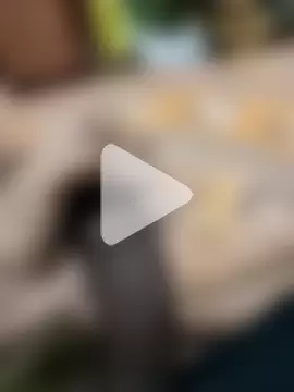 Yashkumar_0697 photo 18