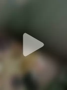 Yashkumar_0697 photo 11