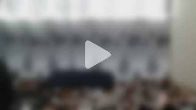 Yellowmellow01 photo 7