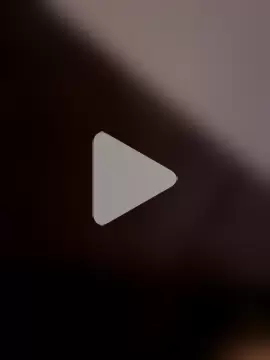 Yorkieboiiiiiii photo 1