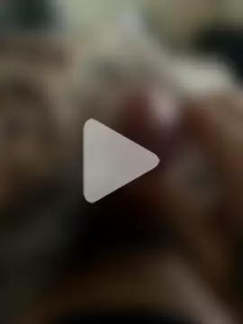 YoungDick25 photo 27