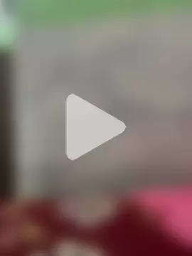 Your_rashi01 photo 10