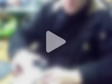 Your_sweet_stick photo 3