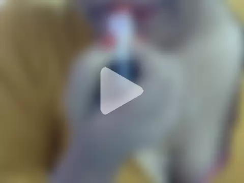 Your_wild_Dia photo 21