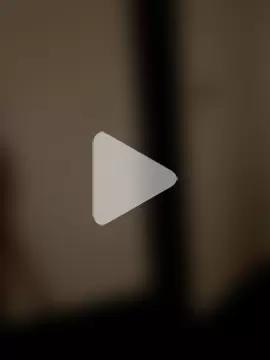 Youraverage photo 18