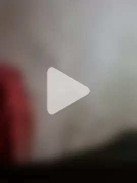 Yourhearbeat photo 15