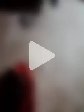 Yourhearbeat photo 14