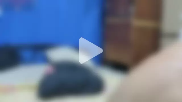 YuKinaHentaiI photo 9