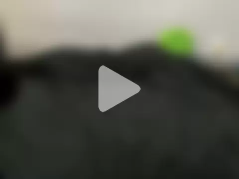 Yutyut11 photo 2