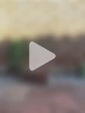 ZeusBlackDick photo 11