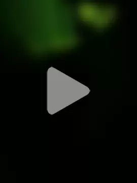 Zizibeaugoss photo 17