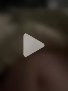 Zizibeaugoss photo 14