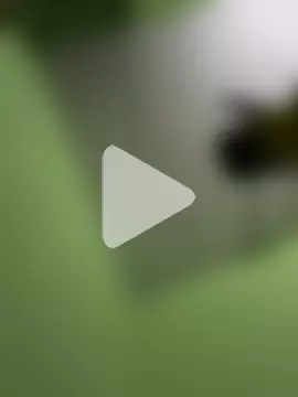 Zoya_Hottest photo 7