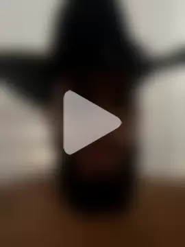 Zyan_Moratto photo 11