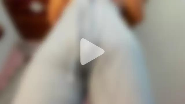 _Abby_white_ photo 17