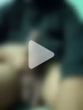 _Alfa___914088 photo 8