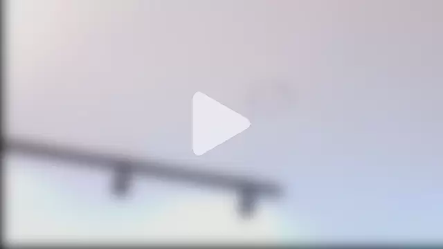 _BellaDonna_ photo 1