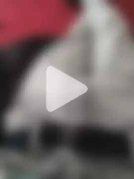 _Durban_Boy_ photo 15