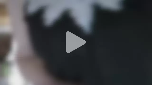 _Estelitta_5 photo 13