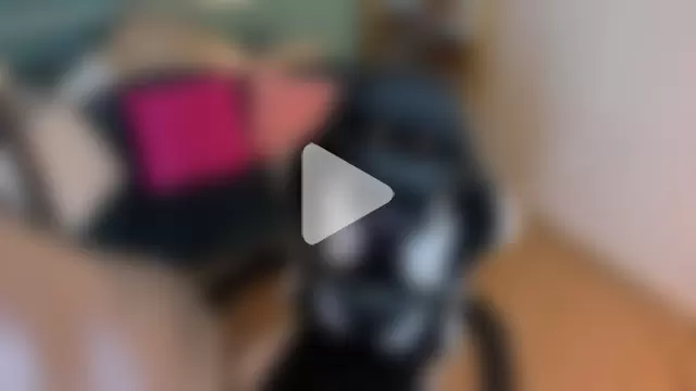 _Jessy_Moon_ photo 1