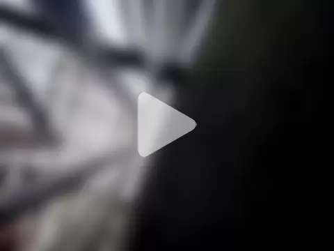 _Laary_Lily photo 25