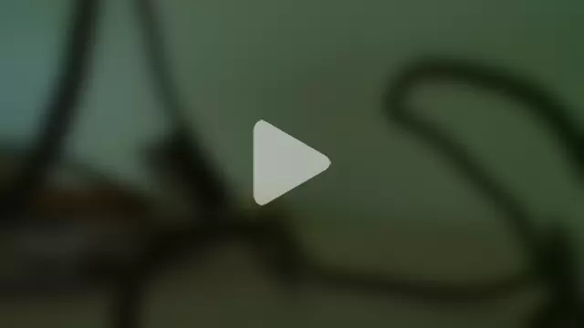 _MrsStrangelove_ photo 5