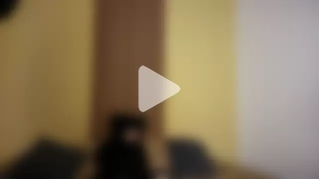 _Shara_Handal_ photo 20