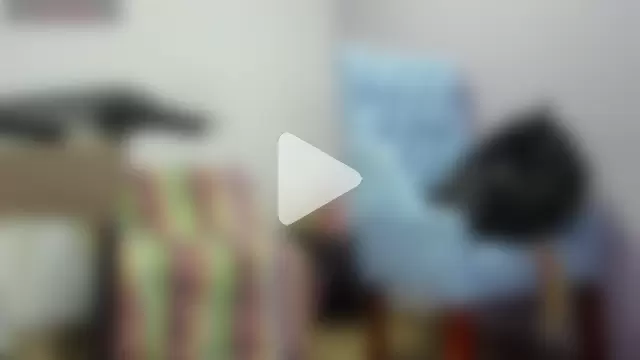 _candy_jade_ photo 3